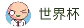2026国际足联世界杯-官方中文网站